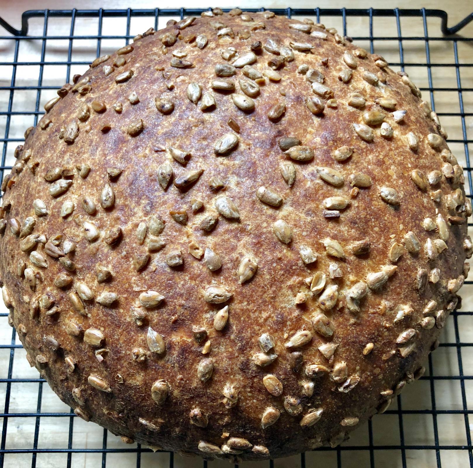 Senfbrot Revisited Mustard Cheese Bread with Sourdough The Fresh Loaf